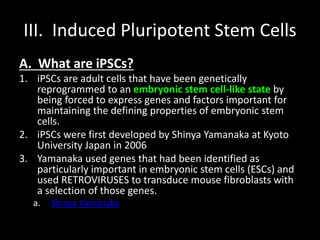III. Induced Pluripotent Stem Cells
A. What are iPSCs?
1. iPSCs are adult cells that have been genetically
reprogrammed to an embryonic stem cell-like state by
being forced to express genes and factors important for
maintaining the defining properties of embryonic stem
cells.
2. iPSCs were first developed by Shinya Yamanaka at Kyoto
University Japan in 2006
3. Yamanaka used genes that had been identified as
particularly important in embryonic stem cells (ESCs) and
used RETROVIRUSES to transduce mouse fibroblasts with
a selection of those genes.
a. Shinya Yamanaka
 