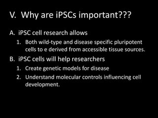 V. Why are iPSCs important???
A. iPSC cell research allows
1. Both wild-type and disease specific pluripotent
cells to e derived from accessible tissue sources.
B. iPSC cells will help researchers
1. Create genetic models for disease
2. Understand molecular controls influencing cell
development.
 