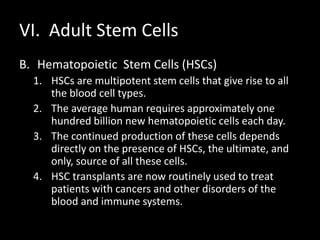VI. Adult Stem Cells
B. Hematopoietic Stem Cells (HSCs)
1. HSCs are multipotent stem cells that give rise to all
the blood cell types.
2. The average human requires approximately one
hundred billion new hematopoietic cells each day.
3. The continued production of these cells depends
directly on the presence of HSCs, the ultimate, and
only, source of all these cells.
4. HSC transplants are now routinely used to treat
patients with cancers and other disorders of the
blood and immune systems.
 