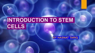 INTRODUCTION TO STEM
CELLS
BY HASNAT TARIQ
 