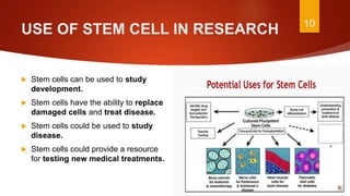 Introduction to stem cells | PPTX
