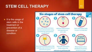 Introduction to stem cells | PPTX