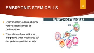 Introduction to stem cells | PPTX