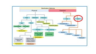 Comprehensive Overview of Sterilization and Disinfection Methods in ...