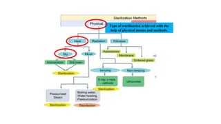Comprehensive Overview of Sterilization and Disinfection Methods in ...