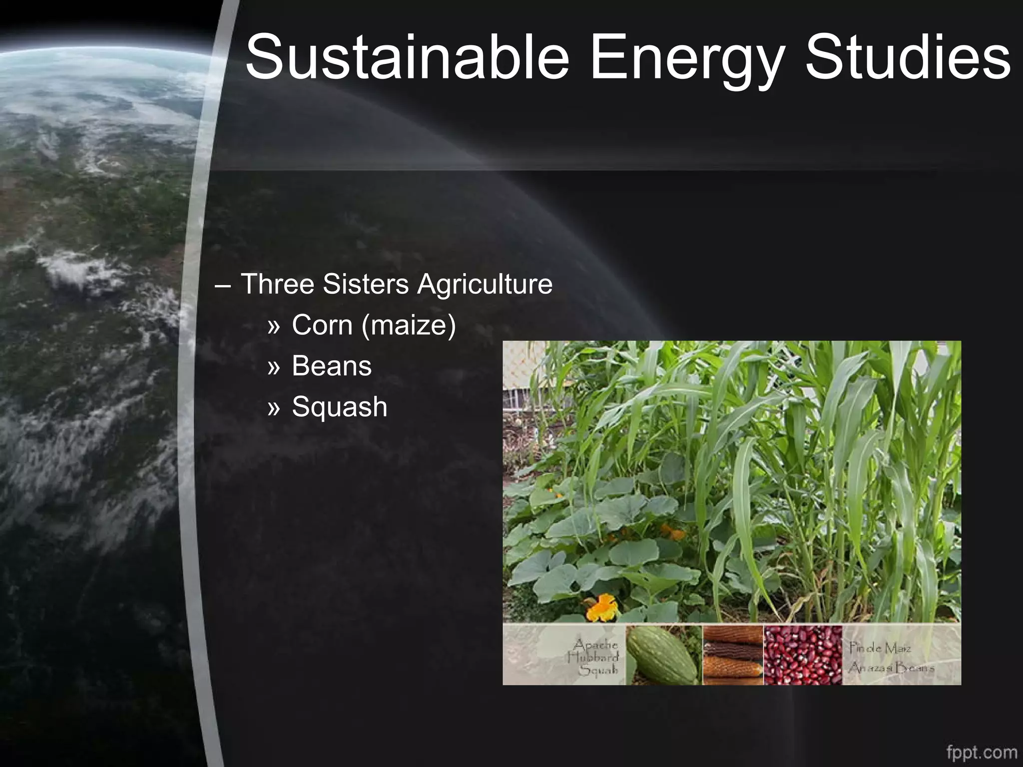 Sustainable Energy Studies
– Three Sisters Agriculture
» Corn (maize)
» Beans
» Squash
 