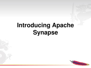 Introducing Apache 
      Synapse
 