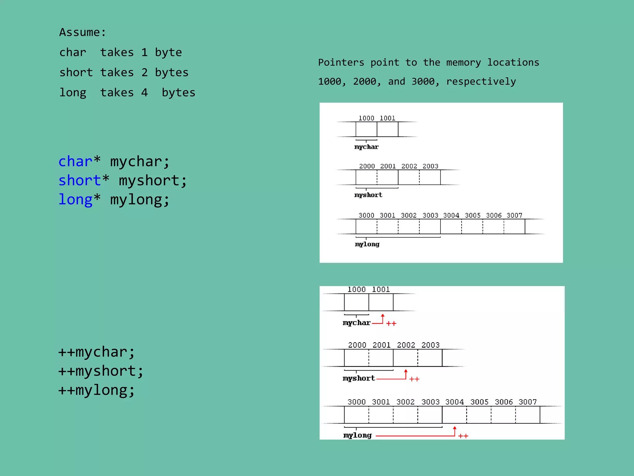 char* mychar;
short* myshort;
long* mylong;
++mychar;
++myshort;
++mylong;
Assume:
char takes 1 byte
short takes 2 bytes
long takes 4 bytes
Pointers point to the memory locations
1000, 2000, and 3000, respectively
 