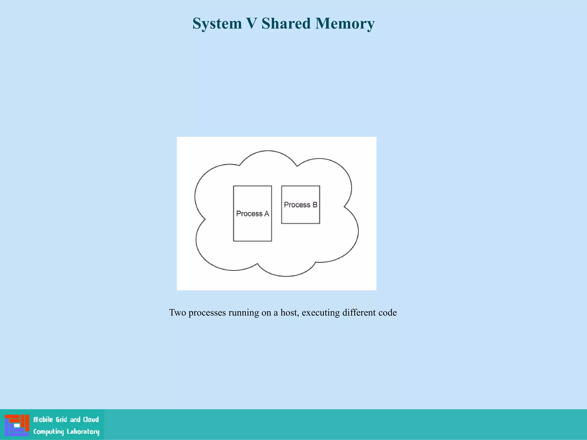 System V Shared Memory
Two processes running on a host, executing different code
 