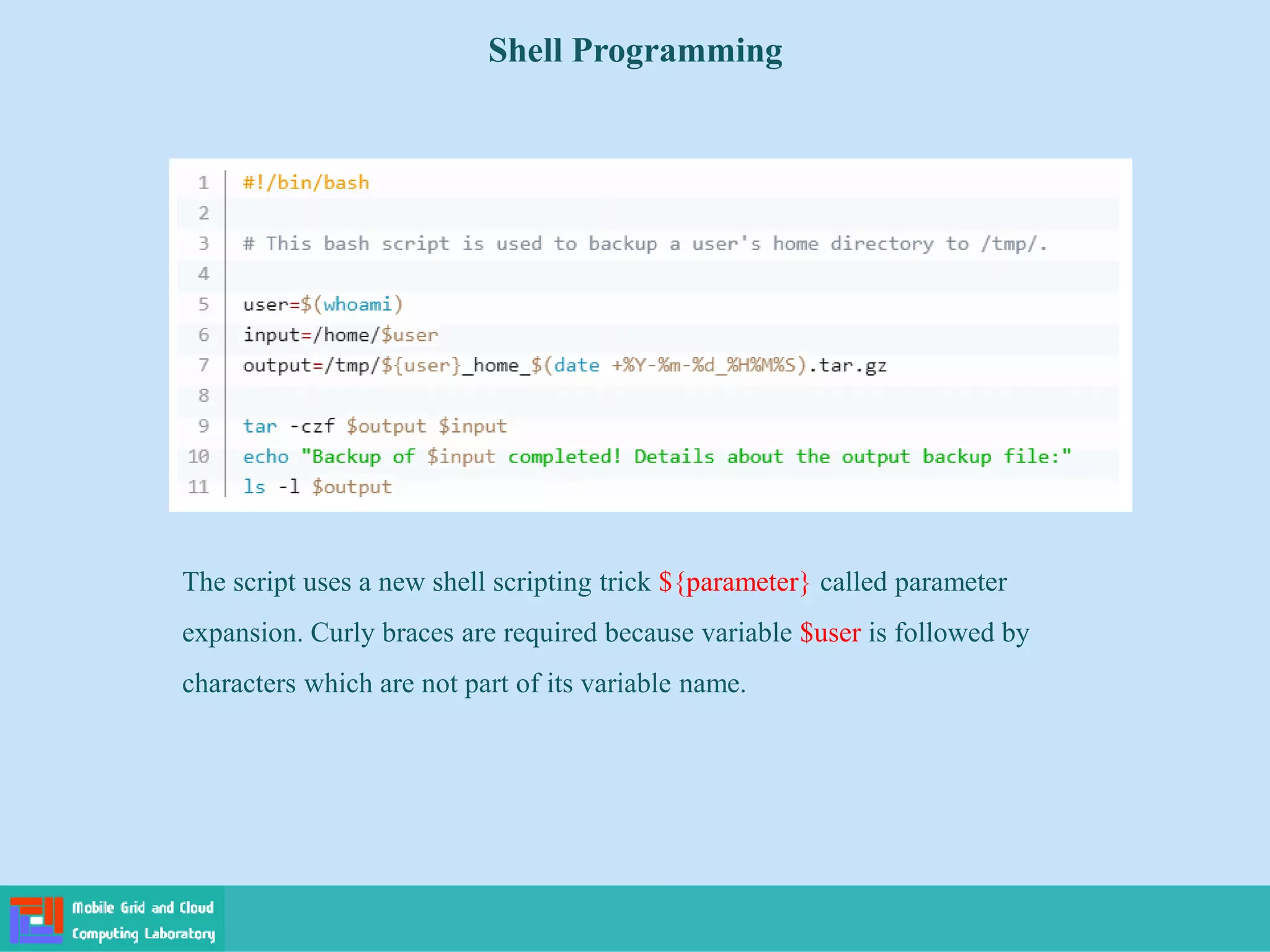 Shell Programming
The script uses a new shell scripting trick ${parameter} called parameter
expansion. Curly braces are required because variable $user is followed by
characters which are not part of its variable name.
 