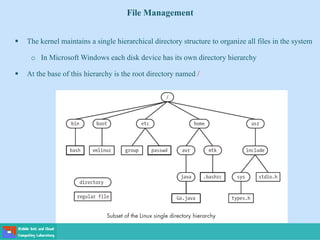 File Management
 The kernel maintains a single hierarchical directory structure to organize all files in the system
o In Microsoft Windows each disk device has its own directory hierarchy
 At the base of this hierarchy is the root directory named /
 