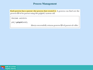 Process Management
 