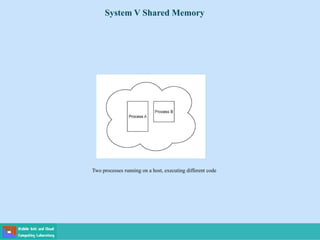 System V Shared Memory
Two processes running on a host, executing different code
 