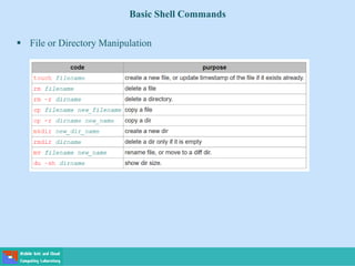 Basic Shell Commands
 File or Directory Manipulation
 