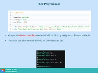 Shell Programming
 Output of whoami and date command will be directly assigned to the user variable
 Variables can also be used directly on the command line
 