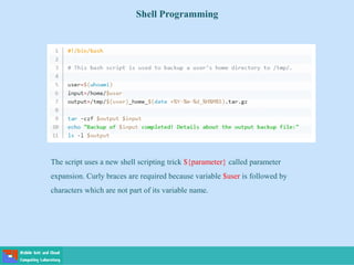Shell Programming
The script uses a new shell scripting trick ${parameter} called parameter
expansion. Curly braces are required because variable $user is followed by
characters which are not part of its variable name.
 