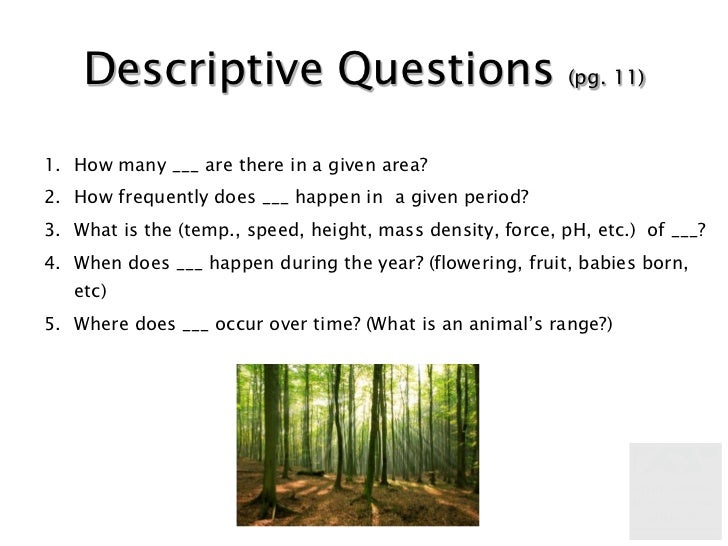 Introduction to Systems, Questions, and Field Investigations