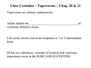 Class Cestoidea – Tapeworms – Chap. 20 & 21 Tapeworms are entirely endoparasitic. Adults inhabit the ________________________________of vertebrate definitive hosts. Life cycles involve larval development in 1 or 2 intermediate hosts. Of the two subclasses, cestodes of medical and veterinary importance occur in the SUBCLASS EUCESTODA 
