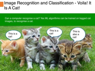 Spotle.ai Study Material
Spotle.ai/Learn
Confidential
This is a
cat!
This is a
cat!
This is
also a
cat!
Can a computer recognise a cat? Yes ML algorithms can be trained on tagged cat
images, to recognise a cat.
Image Recognition and Classification - Voila! It
Is A Cat!
 