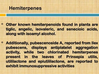 Hemiterpenes
 Other known hemiterpenoids found in plants are
tiglic, angelic, isovaleric, and senecioic acids,
along with isoamyl alcohol.
 Additionally, pubescenoside A, reported from Ilex
pubescens, displays antiplatelet aggregation
activity, while two chlorinated hemiterpenes
present in the leaves of Prinsepia utilis,
utililactone and epiutililactone, are reported to
exhibit immunosuppressive activities
 