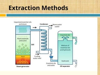 Extraction Methods
 