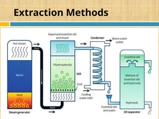 Extraction Methods
 