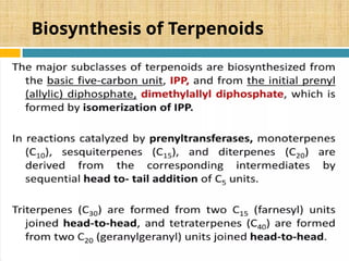 Biosynthesis of Terpenoids
 