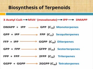 Biosynthesis of Terpenoids
 