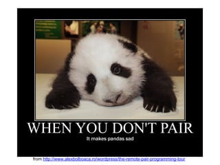 from http://www.alexbolboaca.ro/wordpress/the-remote-pair-programming-tour
 