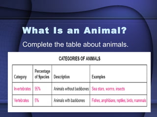 Introduction to the animal kingdom
