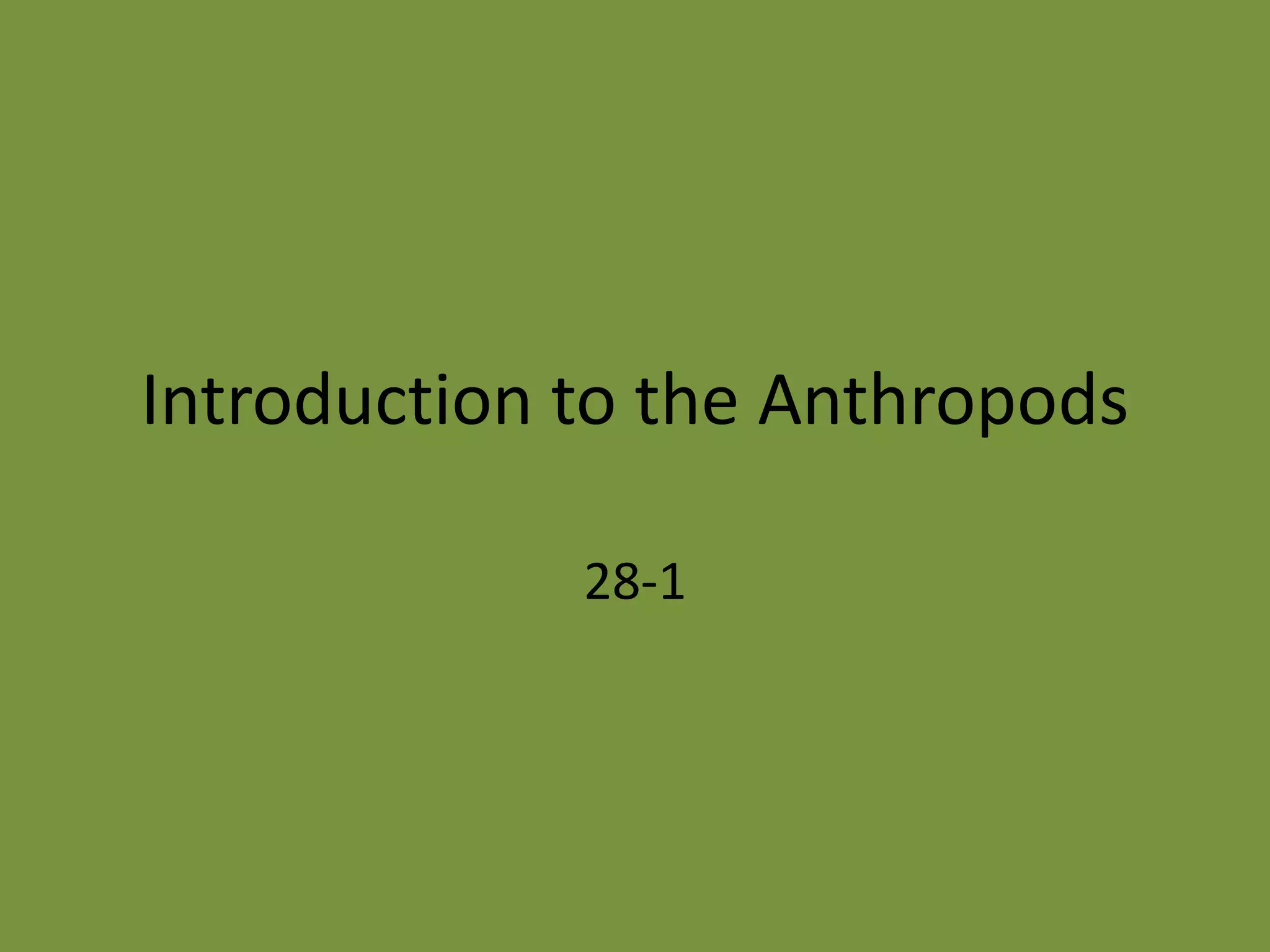 Introduction To The Arthropods | PPTX