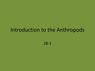 Introduction to the Anthropods 28-1 