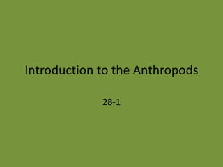 Introduction To The Arthropods | PPTX