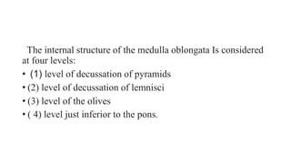 Pyramids Pons INTRODUCTION TO THE BRAINSTEM.pptx