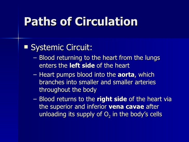 an introduction to the respiratry and circulatory system Respiratory and circulatory systems the respiratory system of nearly all animals begins within the nasal cavity as an animal inhales the air travels through the. an introduction to the respiratry and circulatory system Respiratory and circulatory systems the respiratory system of nearly all animals begins within the nasal cavity as an animal inhales the air travels through the.