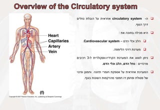 
‫ה‬
-
circulatory system
‫אחראית‬
‫על‬
‫הובלת‬
‫נוזלים‬
‫דרך‬
‫הגוף‬
.

‫היא‬
‫מכילה‬
‫בתוכה‬
‫את‬
:

‫הלב‬
‫וכלי‬
‫הדם‬
–
Cardiovascular system
.

‫מערכת‬
‫דרכי‬
‫הלימפה‬
.

‫ניתן‬
‫לסווג‬
‫את‬
‫המערכת‬
‫הקרדיו‬
-
‫ווסקולרית‬
‫ל‬
-
3
‫רכיבים‬
‫מרכזיים‬
:
‫נוזל‬
‫הדם‬
,
‫הלב‬
‫וכלי‬
‫הדם‬
.

‫המערכת‬
‫אחראית‬
‫על‬
‫אספקת‬
‫חומרי‬
‫תזונה‬
‫וחמצן‬
‫ופינוי‬
‫של‬
‫פסולת‬
‫ופחמן‬
‫דו‬
‫חמצני‬
‫מהרקמות‬
‫השונות‬
‫בגוף‬
.
 