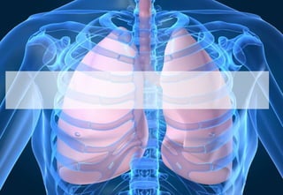 Introduction to the Cardiovascular system - Students.pptx