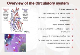 
‫מה‬
‫המערכת‬
‫מובילה‬
?

‫חמצן‬
–
‫מהריאות‬
‫אל‬
‫הרקמות‬
‫השונות‬
‫בגוף‬
.

‫חומרי‬
‫תזונה‬
–
‫הנספגים‬
‫ממערכת‬
‫העיכול‬
‫אל‬
‫הרקמות‬
‫השונות‬
.

‫הורמונים‬
‫מהבלוטות‬
‫השונות‬
.

‫נוגדנים‬
–
Antibodies
–
‫להתמודדות‬
‫עם‬
‫גופים‬
‫זרים‬
/
‫זיהומים‬
.

‫חומרי‬
‫פסולת‬
‫אל‬
‫הכבד‬
‫והכליות‬
‫לפינוי‬
‫מהגוף‬
.

‫פחמן‬
‫דו‬
‫חמצני‬
–
‫המתפנה‬
‫מהרקמות‬
‫השונות‬
‫אל‬
‫הריאות‬
‫ומהן‬
‫מתפנה‬
‫מהגוף‬
‫בנשיפה‬
.

‫רגולציה‬
‫של‬
‫טמפרטורה‬
.
 