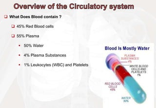  What Does Blood contain ?
 45% Red Blood cells
 55% Plasma
 50% Water
 4% Plasma Substances
 1% Leukocytes (WBC) and Platelets
 