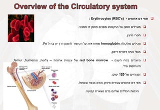 
‫תאי‬
‫דם‬
‫אדומים‬
-
Erythrocytes (RBC’s)
:

‫מובילים‬
‫חמצן‬
‫אל‬
‫הרקמות‬
‫ומפנים‬
‫פחמן‬
‫דו‬
‫חמצני‬
.

‫חסרי‬
‫גרעין‬
.

‫מכילים‬
‫מולקולת‬
hemoglobin
‫שאחראית‬
‫על‬
‫הקישור‬
‫לחמצן‬
‫דרך‬
‫יון‬
‫ברזל‬
Fe
.

‫בעלי‬
‫צורה‬
‫דמויית‬
‫דיסק‬
.

‫מיוצרים‬
‫במח‬
‫העצם‬
-
red bone marrow
‫של‬
‫עצמות‬
‫ארוכות‬
–
‫צלעות‬
,
humerus
,
femur
,
sternum
‫וכד‬
'
.

‫זמן‬
‫חיים‬
‫של‬
120
‫ימים‬
.

‫תאי‬
‫דם‬
‫אדומים‬
‫עוברים‬
‫פירוק‬
‫והרס‬
‫בכבד‬
‫ובטחול‬
.
‫הכמות‬
‫הכללית‬
‫שלהם‬
‫בדם‬
‫נשארת‬
‫קבועה‬
.
 