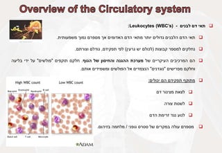 
‫תאי‬
‫דם‬
‫לבנים‬
-
Leukocytes (WBC’s)
:

‫תאי‬
‫הדם‬
‫הלבנים‬
‫גדולים‬
‫יותר‬
‫מתאי‬
‫הדם‬
‫האדומים‬
‫אך‬
‫מספרם‬
‫נמוך‬
‫משמעותית‬
.

‫נחלקים‬
‫למספר‬
‫קבוצות‬
(
‫לכולם‬
‫יש‬
‫גרעין‬
)
‫לפי‬
‫תפקידם‬
,
‫גודלם‬
‫וצורתם‬
.

‫הם‬
‫המרכיבים‬
‫העיקריים‬
‫של‬
‫מערכת‬
‫ההגנה‬
‫והחיסון‬
‫של‬
‫הגוף‬
.
‫חלקם‬
‫תוקפים‬
"
‫פולשים‬
"
‫על‬
‫ידי‬
‫בליעה‬
‫וחלקם‬
‫מפרישים‬
"
‫נוגדנים‬
"
‫הנצמדים‬
‫אל‬
‫הפולשים‬
‫ומשמידים‬
‫אותם‬
.

‫מתוקף‬
‫תפקידם‬
‫הם‬
‫יכולים‬
:

‫לצאת‬
‫מצינור‬
‫דם‬

‫לשנות‬
‫צורה‬

‫לנוע‬
‫נגד‬
‫זרימת‬
‫הדם‬

‫מספרם‬
‫עולה‬
‫במקרים‬
‫של‬
‫סטרס‬
‫גופני‬
/
‫מלחמה‬
‫בזיהום‬
.
 