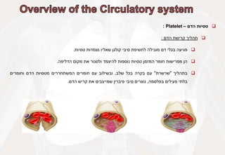
‫טסיות‬
‫הדם‬
–
Platelet
:

‫תהליך‬
‫קרישת‬
‫הדם‬
:

‫פגיעה‬
‫בכלי‬
‫דם‬
‫מובילה‬
‫לחשיפת‬
‫סיבי‬
‫קולגן‬
‫שאליו‬
‫נצמדות‬
‫טסיות‬
.

‫הן‬
‫מפרישות‬
‫חומר‬
‫המזמן‬
‫טסיות‬
‫נוספות‬
‫להיצמד‬
‫ולסגור‬
‫את‬
‫מקום‬
‫הדליפה‬
.

‫בתהליך‬
"
‫שרשרת‬
"
‫עם‬
‫בקרה‬
‫בכל‬
‫שלב‬
,
‫ובשילוב‬
‫עם‬
‫חומרים‬
‫המשתחררים‬
‫מטסיות‬
‫הדם‬
‫וחומרים‬
‫בלתי‬
‫פעילים‬
‫בפלסמה‬
,
‫נוצרים‬
‫סיבי‬
‫פיברין‬
‫שמייצבים‬
‫את‬
‫קריש‬
‫הדם‬
.
 