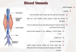 
‫מבנה‬
‫כלי‬
‫הדם‬
:

‫וורידים‬
–

‫דפנות‬
‫הוורידים‬
‫דקות‬
‫יותר‬
‫אבל‬
‫הקוטר‬
‫הפנימי‬
‫שלהם‬
‫גדול‬
‫יותר‬
.

‫מכילים‬
‫את‬
‫אותן‬
3
‫שכבות‬
(
‫שכבה‬
‫אמצעית‬
‫דקה‬
,
‫הם‬
‫פחות‬
‫אלסטיים‬
)
.

‫זרימת‬
‫הדם‬
‫בוורידים‬
‫נעשית‬
‫בלחץ‬
‫נמוך‬
‫ולכן‬
‫על‬
‫מנת‬
‫לשנע‬
‫דם‬
‫חזרה‬
‫אל‬
‫הלב‬
‫הוורידים‬
‫נעזרים‬
‫ב‬
-

‫פעולת‬
"
‫חליבה‬
"
–
Milking
–
‫על‬
‫ידי‬
‫התכווצות‬
‫השרירים‬
‫סביב‬
‫הווריד‬
.

‫כוח‬
‫המשיכה‬
.

‫מסתמים‬
‫חד‬
‫כיווניים‬

‫עקב‬
‫הקוטר‬
‫הגדול‬
‫יותר‬
‫שלהם‬
‫והזרימה‬
‫האיטית‬
‫למעשה‬
80%
‫מהדם‬
‫נמצא‬
‫בכל‬
‫רגע‬
‫נתון‬
‫במערכת‬
‫הוורידית‬
‫ורק‬
20%
‫בעורקית‬
.
 
