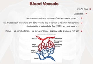 
‫מבנה‬
‫כלי‬
‫הדם‬
:

Capillaries
:

‫דרך‬
‫מערכת‬
‫זו‬
‫נעשית‬
‫נעשה‬
‫שחלוף‬
‫החומרים‬
‫ודיפוזיה‬
‫בין‬
‫תאי‬
‫הדם‬
‫ותאי‬
‫הגוף‬
.

‫מדובר‬
‫במערכת‬
‫צינורות‬
‫בה‬
‫יש‬
‫חיבור‬
‫בין‬
‫צד‬
‫עורק‬
‫וצד‬
‫וורידי‬
‫של‬
‫כלי‬
‫הדם‬
,
‫כאשר‬
‫מערכת‬
‫הצינורות‬
‫נמצאת‬
‫במגע‬
‫הדוק‬
‫עם‬
‫הנוזל‬
‫הבין‬
‫תאי‬
-
the interstitial or extracellular fluid (ECF)
.

‫הקפילרות‬
‫מאורגנות‬
‫ב‬
-
Capillary beds
–
‫המחברות‬
‫עורקיק‬
‫קטן‬
–
Arteriole
‫לוורידון‬
‫קטן‬
–
Venule
.
 