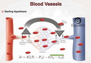  Starling Hypothesis:
 