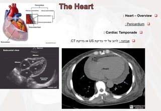 
Heart – Overview
:

Pericardium
:

Cardiac Tamponade
:

‫אבחנה‬
:
‫לרוב‬
‫על‬
‫ידי‬
‫בדיקת‬
US
‫או‬
‫בדיקת‬
CT
.
 
