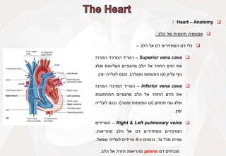 
Heart – Anatomy
:

‫אנטומיה‬
‫חיצונית‬
‫של‬
‫הלב‬
:

‫כלי‬
‫דם‬
‫המחזירים‬
‫דם‬
‫אל‬
‫הלב‬
–

Superior vena cava
–
‫הווריד‬
‫המרכזי‬
‫המרכז‬
‫את‬
‫הדם‬
‫החוזר‬
‫אל‬
‫הלב‬
‫מהגפיים‬
‫העליונות‬
‫ופלג‬
‫גוף‬
‫עליון‬
(
‫קו‬
‫הפטמות‬
‫ומעלה‬
)
.
‫נכנס‬
‫לעלייה‬
‫ימין‬
.

Inferior vena cava
–
‫הווריד‬
‫המרכזי‬
‫המרכז‬
‫את‬
‫הדם‬
‫החוזר‬
‫אל‬
‫הלב‬
‫מהגפיים‬
‫התחתונות‬
‫ופלג‬
‫גוף‬
‫תחתון‬
(
‫קו‬
‫הפטמות‬
‫ומטה‬
)
.
‫נכנס‬
‫לעלייה‬
‫ימין‬
.

Right & Left pulmonary veins
–
‫הוורידים‬
‫המרכזיים‬
‫המחזירים‬
‫דם‬
‫אל‬
‫הלב‬
‫מהריאות‬
,
‫שניים‬
‫מכל‬
‫צד‬
,
‫נכנסים‬
‫כ‬
-
4
‫וורידים‬
‫לעלייה‬
‫שמאל‬
.
‫מובילים‬
‫דם‬
‫מחומצן‬
‫מהריאות‬
‫חזרה‬
‫אל‬
‫הלב‬
.
 