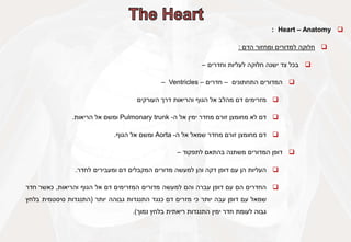
Heart – Anatomy
:

‫חלוקה‬
‫למדורים‬
‫ומחזור‬
‫הדם‬
:

‫בכל‬
‫צד‬
‫ישנה‬
‫חלוקה‬
‫לעליות‬
‫וחדרים‬
–

‫המדורים‬
‫התחתונים‬
–
‫חדרים‬
–
Ventricles
–

‫מזרימים‬
‫דם‬
‫מהלב‬
‫אל‬
‫הגוף‬
‫והריאות‬
‫דרך‬
‫העורקים‬

‫דם‬
‫לא‬
‫מחומצן‬
‫זורם‬
‫מחדר‬
‫ימין‬
‫אל‬
‫ה‬
-
Pulmonary trunk
‫ומשם‬
‫אל‬
‫הריאות‬
.

‫דם‬
‫מחומצן‬
‫זורם‬
‫מחדר‬
‫שמאל‬
‫אל‬
‫ה‬
-
Aorta
‫ומשם‬
‫אל‬
‫הגוף‬
.

‫דופן‬
‫המדורים‬
‫משתנה‬
‫בהתאם‬
‫לתפקוד‬
–

‫העליות‬
‫הן‬
‫עם‬
‫דופן‬
‫דקה‬
‫והן‬
‫למעשה‬
‫מדורים‬
‫המקבלים‬
‫דם‬
‫ומעבירים‬
‫לחדר‬
.

‫החדרים‬
‫הם‬
‫עם‬
‫דופן‬
‫עברה‬
‫והם‬
‫למעשה‬
‫מדורים‬
‫המזרימים‬
‫דם‬
‫אל‬
‫הגוף‬
‫והריאות‬
,
‫כאשר‬
‫חדר‬
‫שמאל‬
‫עם‬
‫דופן‬
‫עבה‬
‫יותר‬
‫כי‬
‫מזרים‬
‫דם‬
‫כנגד‬
‫התנגדות‬
‫גבוהה‬
‫יותר‬
(
‫התנגדות‬
‫סיסטמית‬
‫בלחץ‬
‫גבוה‬
‫לעומת‬
‫חדר‬
‫ימין‬
‫התנגדות‬
‫ריאתית‬
‫בלחץ‬
‫נמוך‬
)
.
 