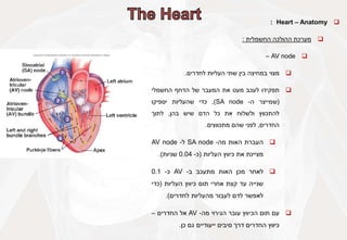 
Heart – Anatomy
:

‫מערכת‬
‫ההולכה‬
‫החשמלית‬
:

AV node
–

‫מצוי‬
‫במחיצה‬
‫בין‬
‫שתי‬
‫העליות‬
‫לחדרים‬
.

‫תפקידו‬
‫לעכב‬
‫מעט‬
‫את‬
‫המעבר‬
‫של‬
‫הדחף‬
‫החשמלי‬
(
‫שמייצר‬
‫ה‬
-
SA node
)
,
‫כדי‬
‫שהעליות‬
‫יספיקו‬
‫להתכווץ‬
‫ולשלוח‬
‫את‬
‫כל‬
‫הדם‬
‫שיש‬
‫בהן‬
,
‫לתוך‬
‫החדרים‬
,
‫לפני‬
‫שהם‬
‫מתכווצים‬
.

‫העברת‬
‫האות‬
‫מה‬
-
SA node
‫ל‬
-
AV node
‫מציינת‬
‫את‬
‫כיווץ‬
‫העליות‬
(
‫כ‬
-
0.04
‫שניות‬
)
.

‫לאחר‬
‫מכן‬
‫האות‬
‫מתעכב‬
‫ב‬
-
AV
‫כ‬
-
0.1
‫שנייה‬
‫עד‬
‫קצת‬
‫אחרי‬
‫תום‬
‫כיווץ‬
‫העליות‬
(
‫כדי‬
‫לאפשר‬
‫לדם‬
‫לעבור‬
‫מהעליות‬
‫לחדרים‬
)
.

‫עם‬
‫תום‬
‫הכיווץ‬
‫עובר‬
‫הגירוי‬
‫מה‬
-
AV
‫אל‬
‫החדרים‬
–
‫כיווץ‬
‫החדרים‬
‫דרך‬
‫סיבים‬
‫ייעודיים‬
‫גם‬
‫כן‬
.
 