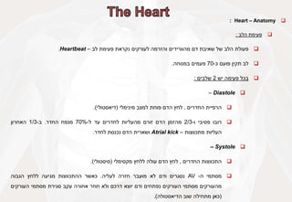 
Heart – Anatomy
:

‫פעימת‬
‫הלב‬
:

‫פעולת‬
‫הלב‬
‫של‬
‫שאיבת‬
‫דם‬
‫מהוורידים‬
‫והזרמה‬
‫לעורקים‬
‫נקראת‬
‫פעימת‬
‫לב‬
–
Heartbeat
.

‫לב‬
‫תקין‬
‫פועם‬
‫כ‬
-
70
‫פעמים‬
‫במנוחה‬
.

‫בכל‬
‫פעימה‬
‫יש‬
2
‫שלבים‬
:

Diastole
–

‫הרפיית‬
‫החדרים‬
,
‫לחץ‬
‫הדם‬
‫פוחת‬
‫למצב‬
‫מינימלי‬
(
‫דיאסטולי‬
)
.

‫רובו‬
‫פסיבי‬
‫ו‬
-
2/3
‫מהזמן‬
‫הדם‬
‫זורם‬
‫מהעליות‬
‫לחדרים‬
‫עד‬
‫ל‬
-
70%
‫מנפח‬
‫החדר‬
.
‫ב‬
-
1/3
‫האחרון‬
‫העליות‬
‫מתכווצות‬
–
Atrial kick
‫ושארית‬
‫הדם‬
‫נכנסת‬
‫לחדר‬
.

Systole
–

‫התכווצות‬
‫החדרים‬
,
‫לחץ‬
‫הדם‬
‫עולה‬
‫ללחץ‬
‫מקסימלי‬
(
‫סיסטולי‬
)
.

‫מסתמי‬
‫ה‬
-
AV
‫נסגרים‬
‫ודם‬
‫לא‬
‫מועבר‬
‫חזרה‬
‫לעליה‬
.
‫כאשר‬
‫ההתכווצות‬
‫מגיעה‬
‫ללחץ‬
‫הגבוה‬
‫מהעורקים‬
‫מסתמי‬
‫העורקים‬
‫נפתחים‬
‫ודם‬
‫יוצא‬
‫דרכם‬
‫ולא‬
‫חוזר‬
‫אחורה‬
‫עקב‬
‫סגירת‬
‫מסתמי‬
‫העורקים‬
(
‫כאן‬
‫מתחילה‬
‫שוב‬
‫הדיאסטולה‬
)
.
 